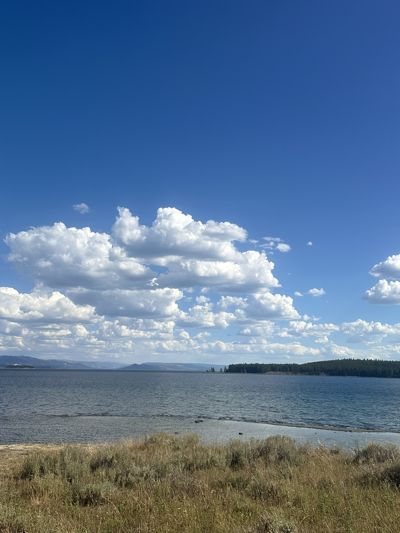 Yellowstone And Grand Teton National Parks - Image 1484